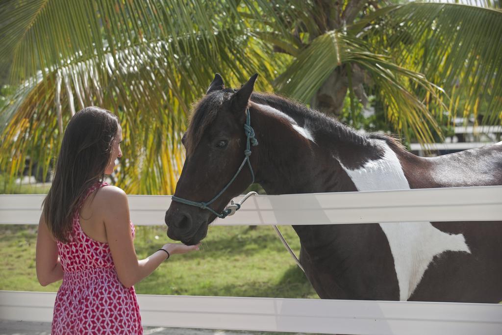 Biras Creek Resort Spanish Town Luaran gambar